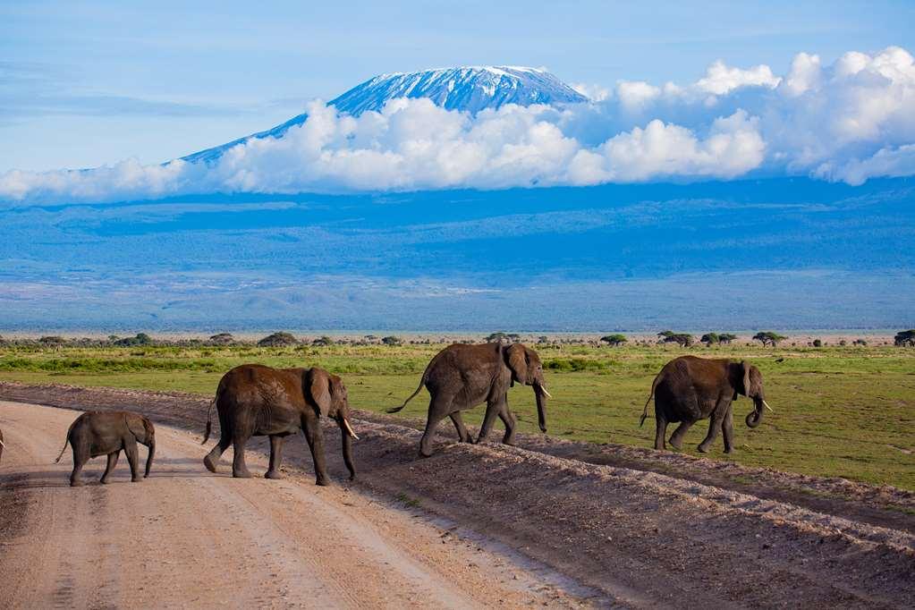 Amboseli Serena Safari Lodge 设施 照片