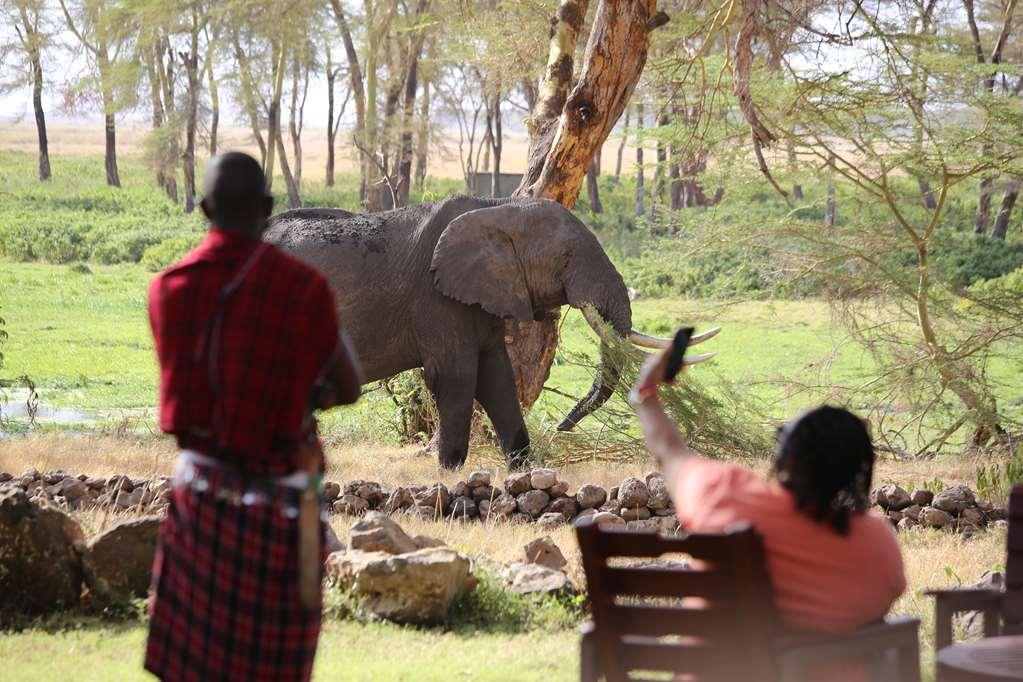 Amboseli Serena Safari Lodge 设施 照片