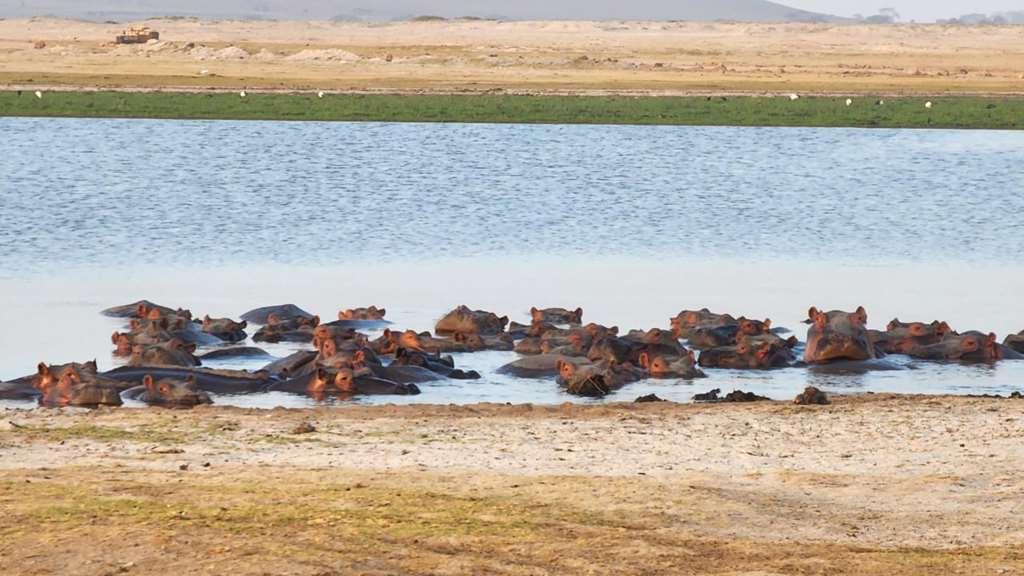 Amboseli Serena Safari Lodge 设施 照片